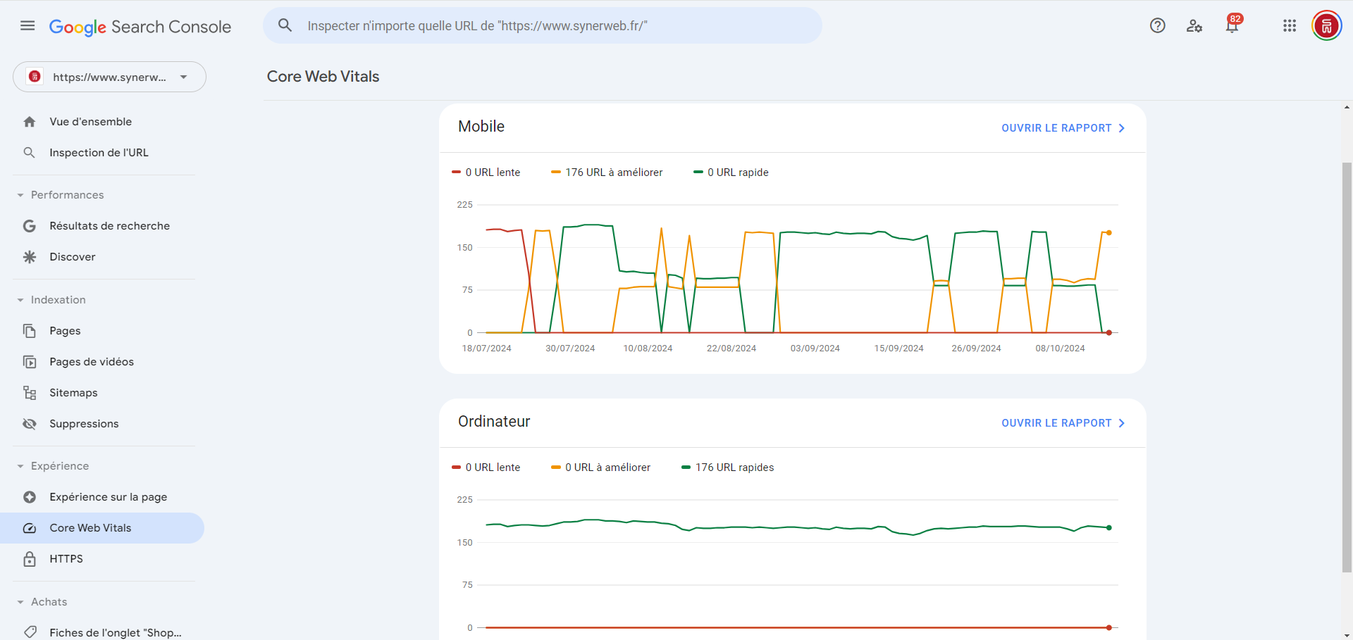 Rapport sur les Core Web Vitals pour les performances mobile et desktop – Capture d’écran SYNERWEB